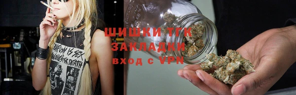 соль ск Снежногорск