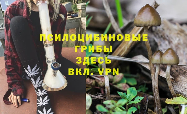 скорость Снежинск