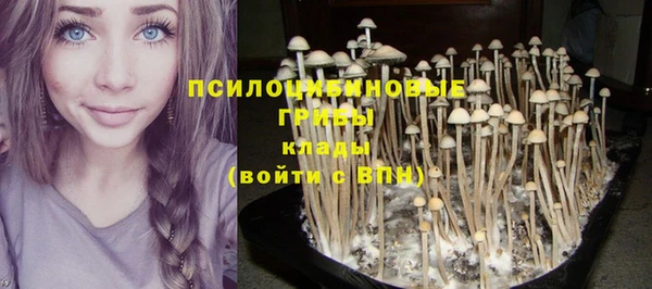 соль ск Снежногорск