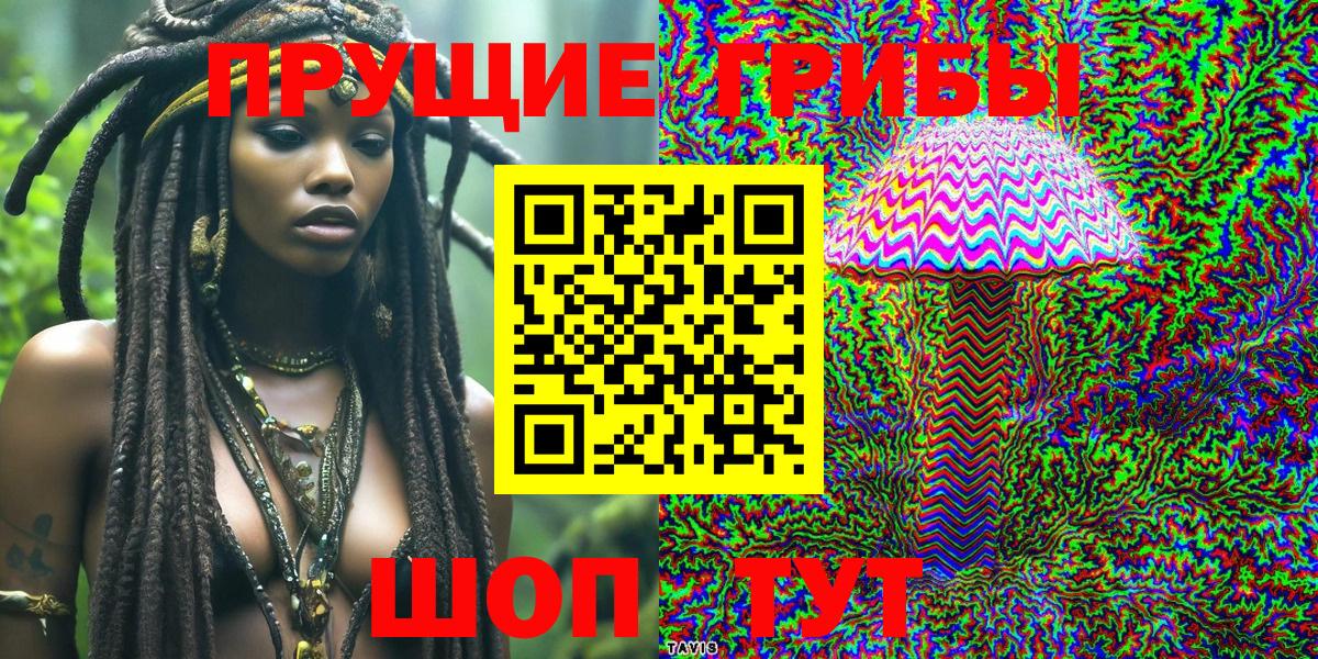 Галлюциногенные грибы мицелий  Псилоцибиновые грибы Psilocybe  Тутаев 