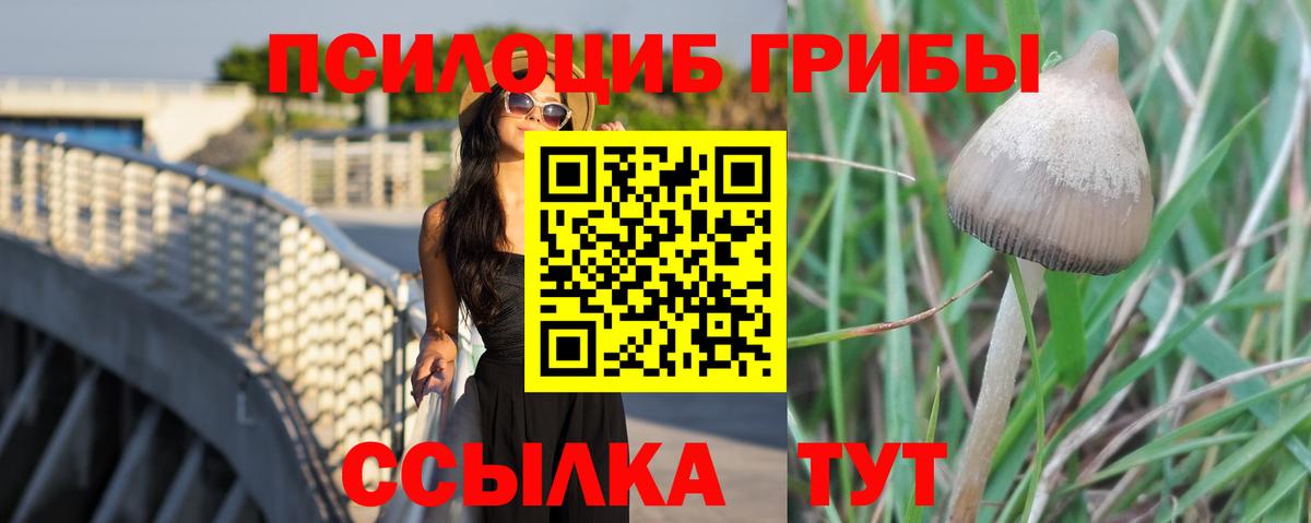 Галлюциногенные грибы Magic Shrooms  Галлюциногенные грибы Magic Shrooms  Вход с VPN  Тутаев 