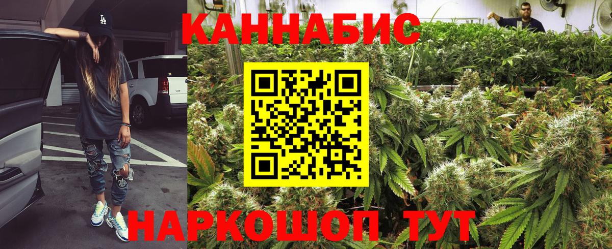 Шишки марихуана сатива  Шишки марихуана планчик  Марихуана MAZAR  Вход с VPN  Тутаев  Марихуана семена 